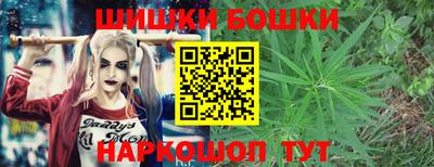 прущие грибы Моздок