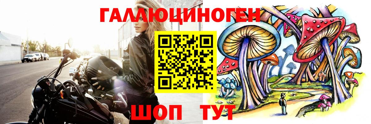 Учалы  Галлюциногенные грибы прущие грибы  Вход с VPN 